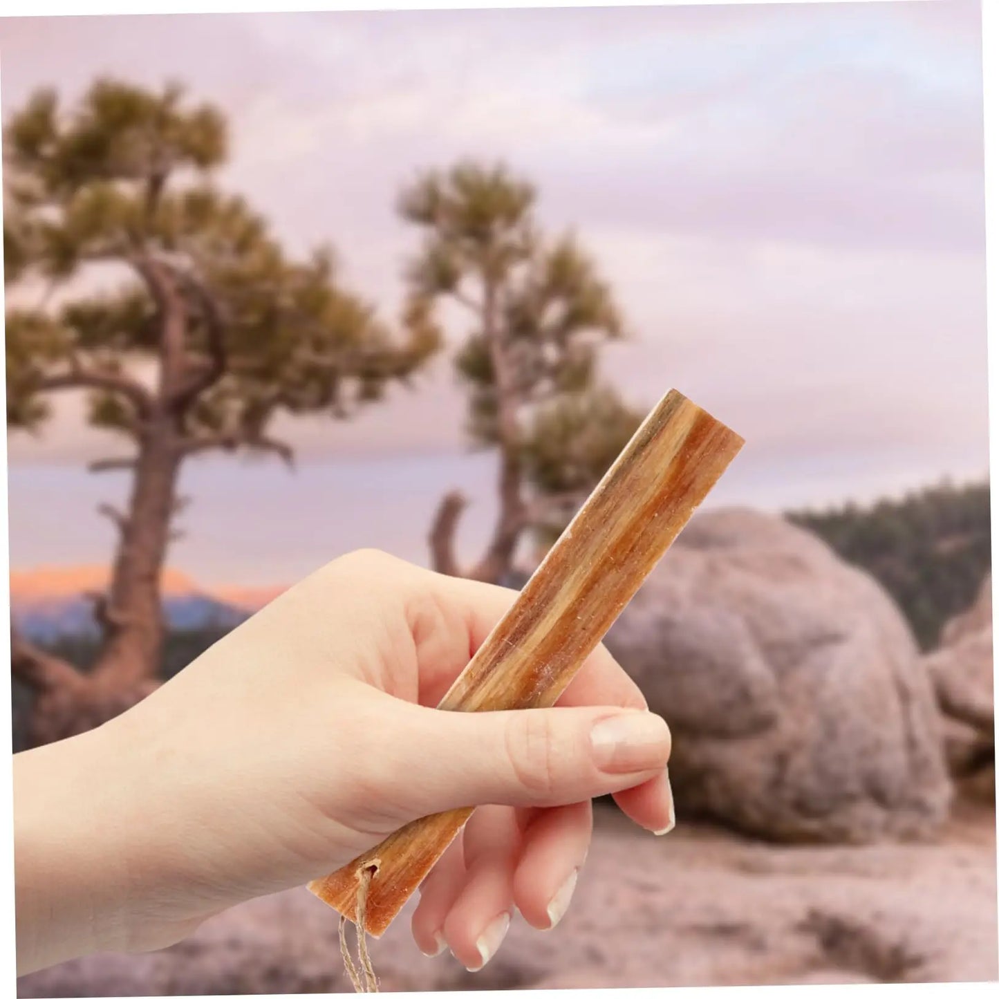 Natural Pine Fire Starter Sticks